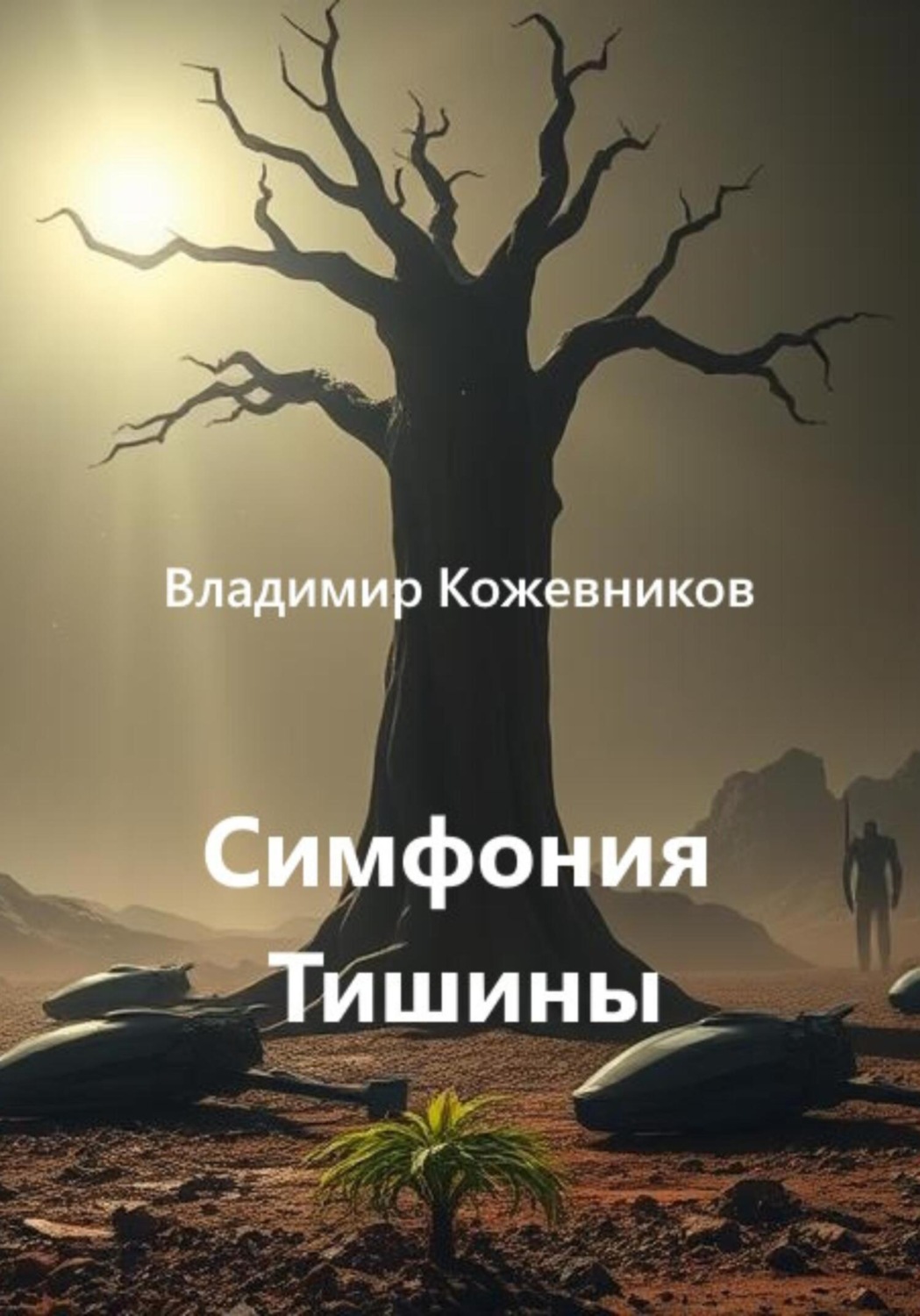 Обложка книги «Симфония Тишины»