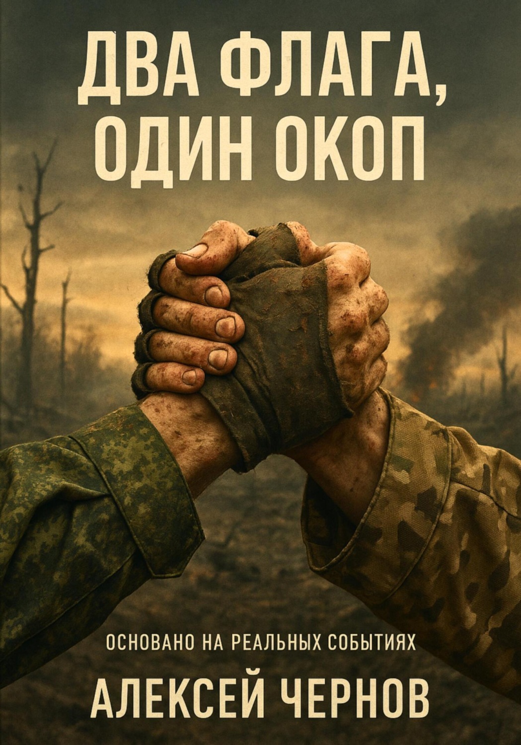 Обложка книги «Два флага, один окоп»