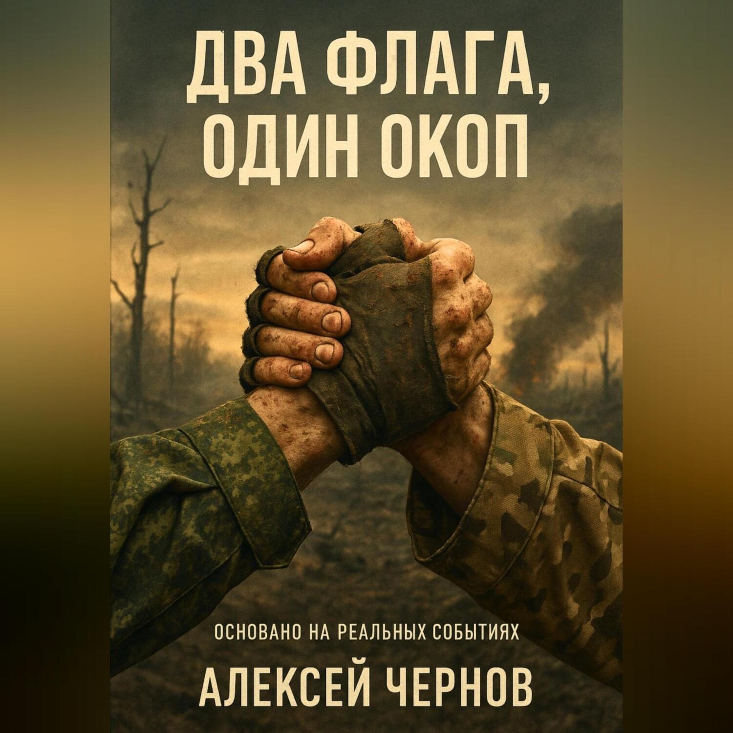 Обложка книги «Два флага, один окоп»