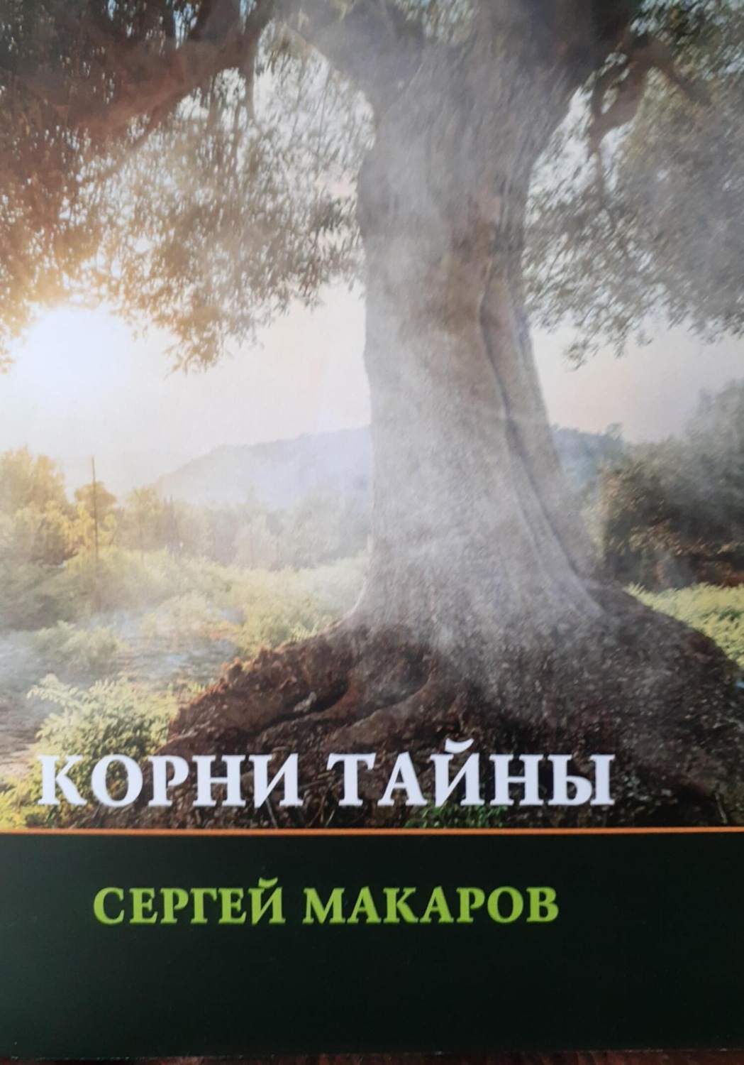 Обложка книги «Корни тайны»
