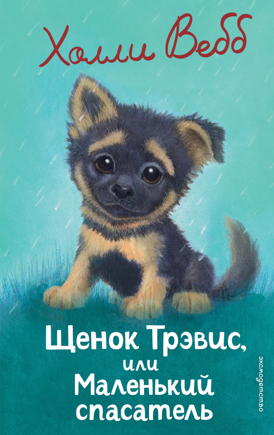Обложка книги «Щенок Трэвис, или Маленький спасатель»
