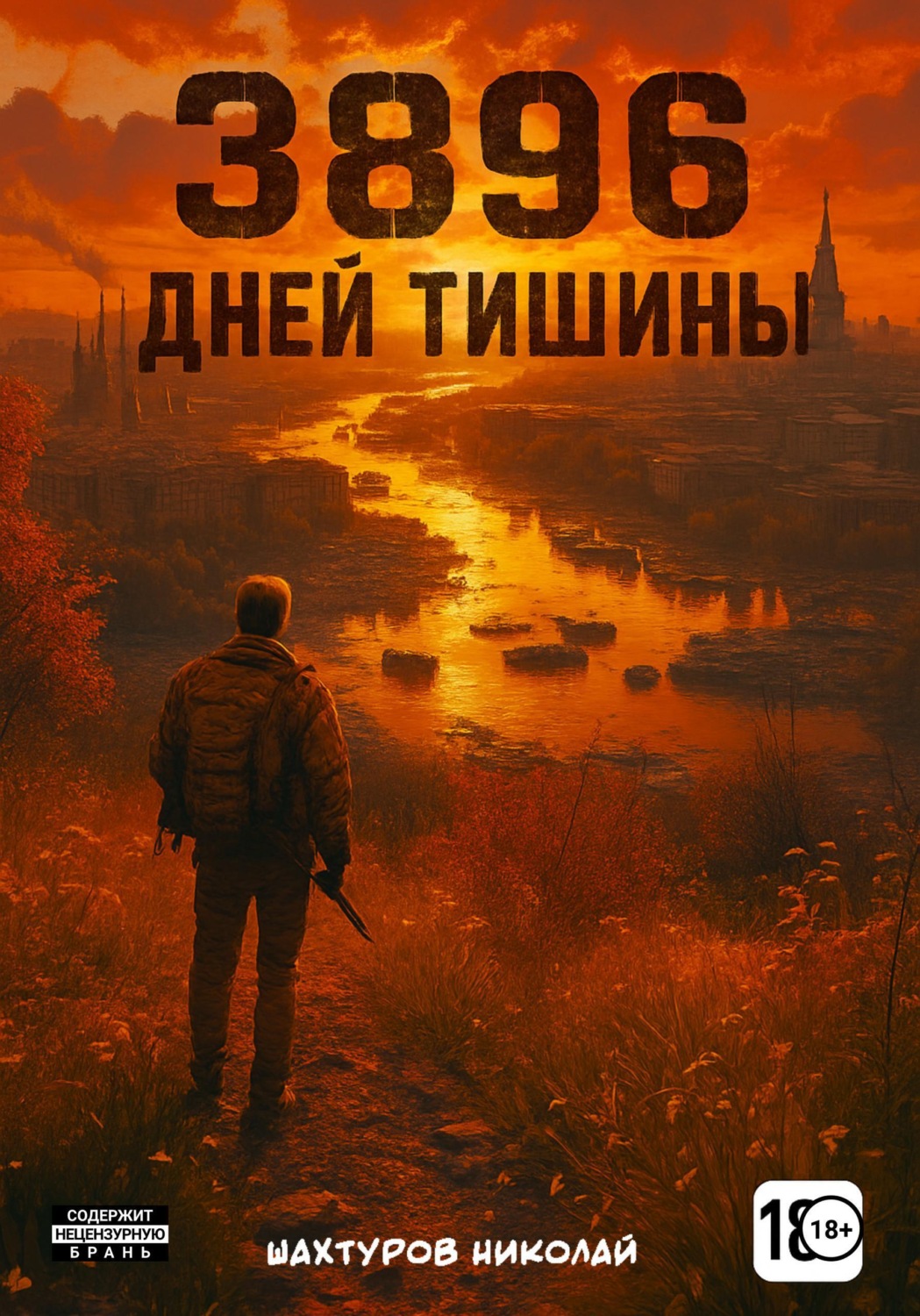 Обложка книги «3896 дней тишины»
