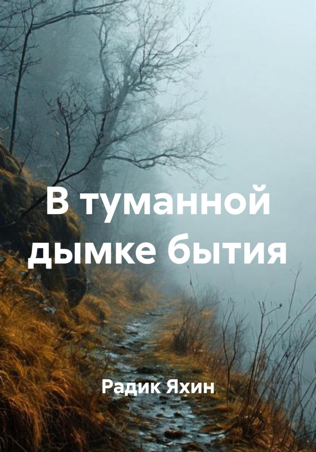 Обложка книги «В туманной дымке бытия»