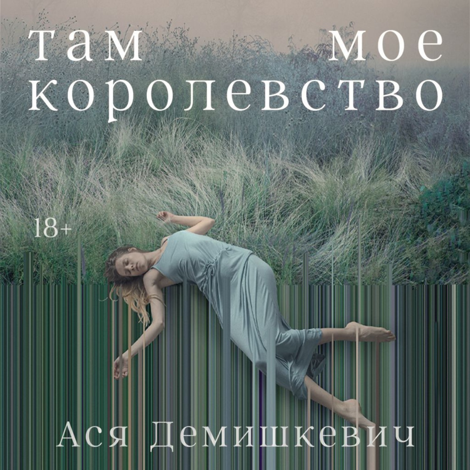 Обложка книги «Там мое королевство»