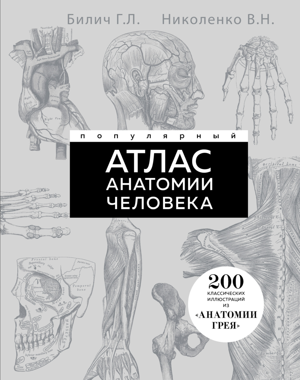 Обложка книги «Популярный атлас анатомии человека. 200 классических иллюстраций из «Анатомии Грея»»