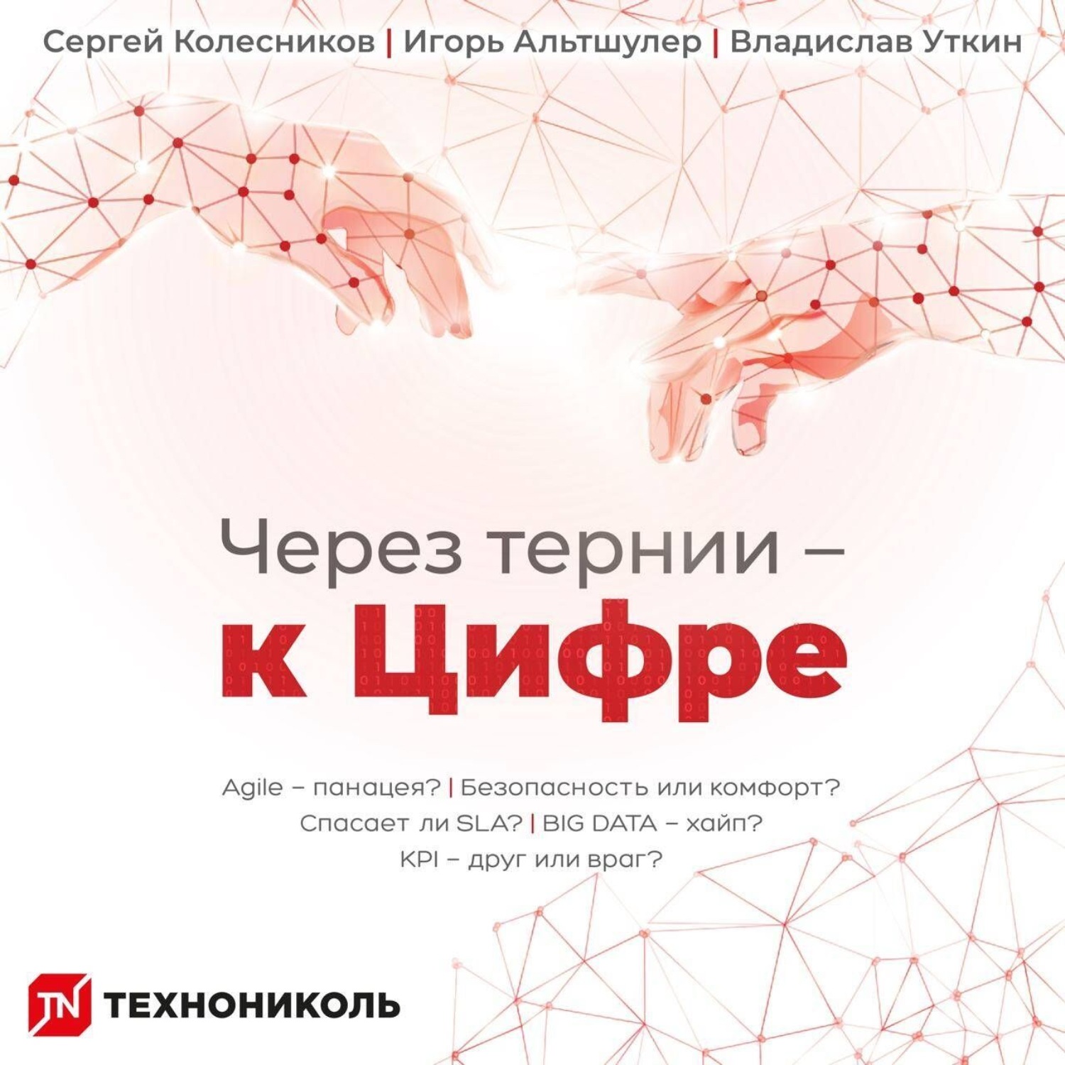 Обложка книги «Через тернии – к Цифре»
