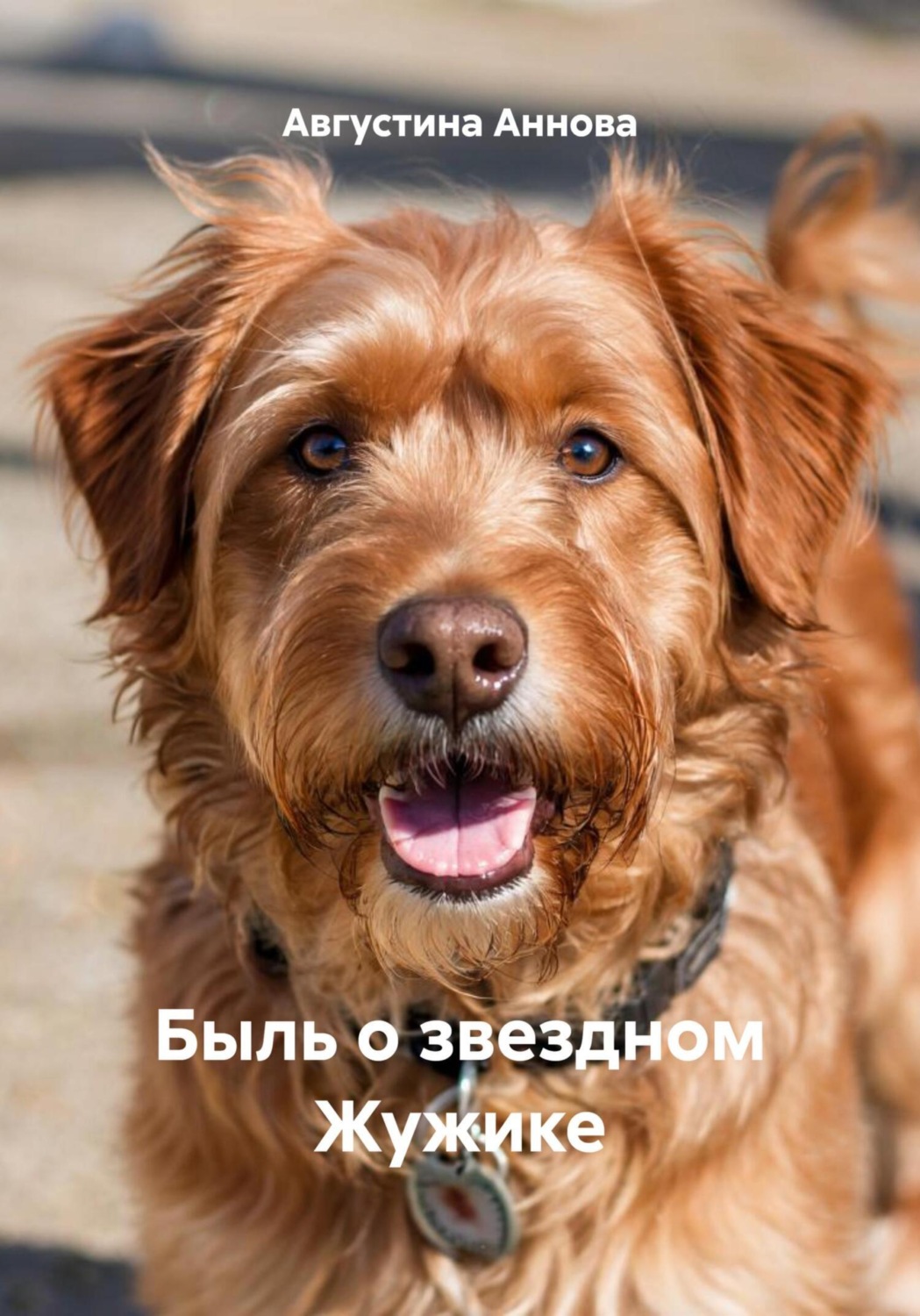 Обложка книги «Быль о звездном Жужике»