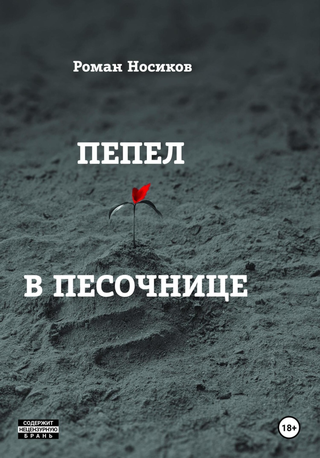 Обложка книги «Пепел в песочнице»