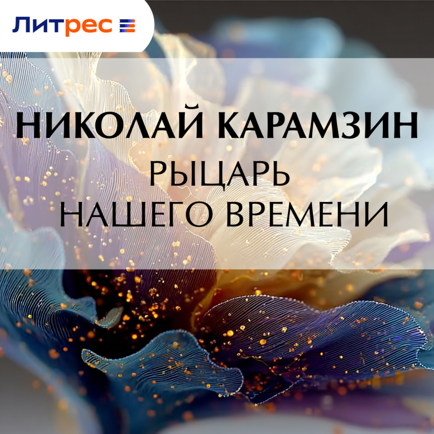 Обложка книги «Рыцарь нашего времени»