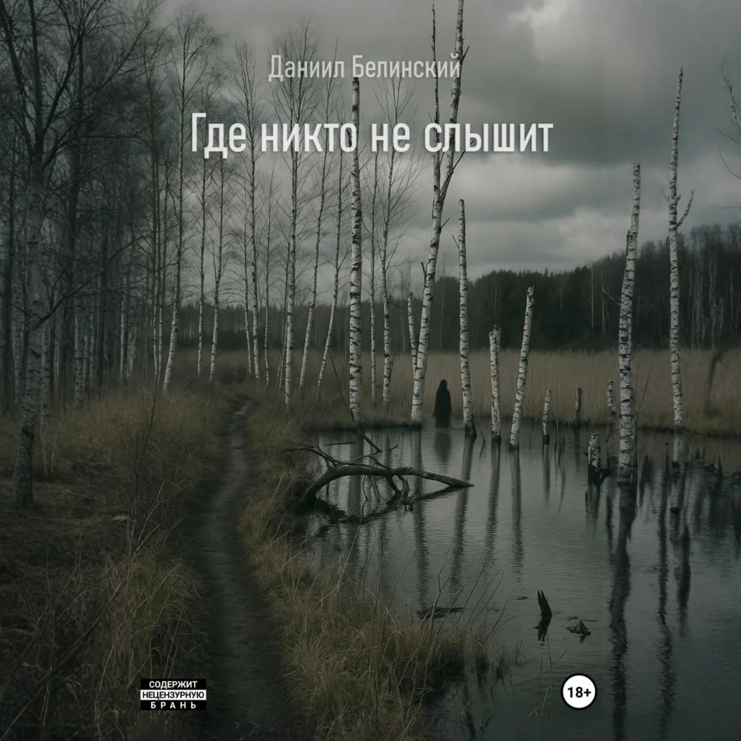 Обложка книги «Где никто не слышит»