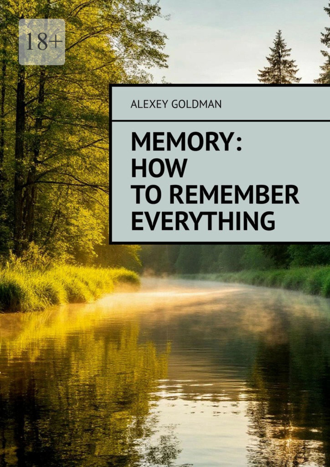 Обложка книги «Memory: how to remember everything»