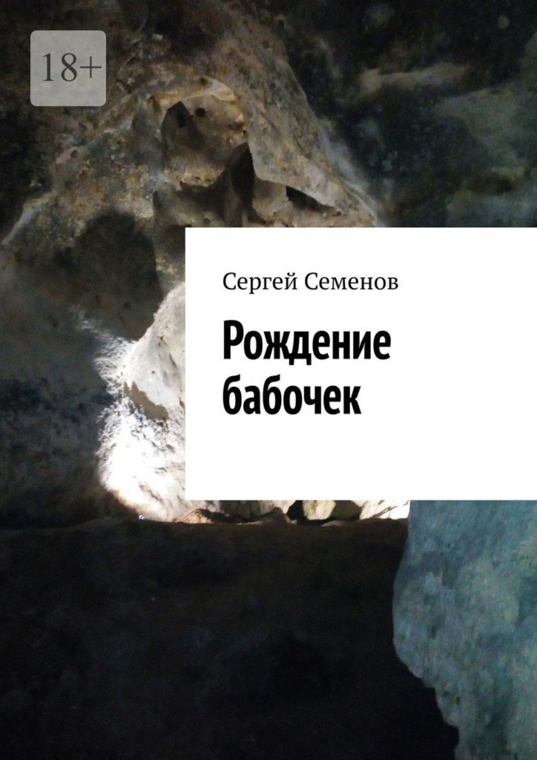 Обложка книги «Рождение бабочек»