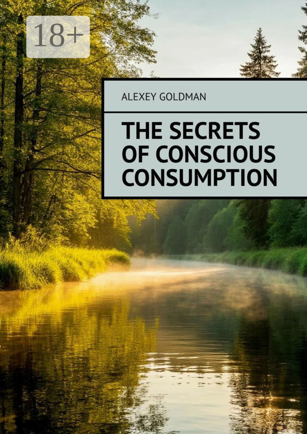 Обложка книги «The secrets of conscious consumption»
