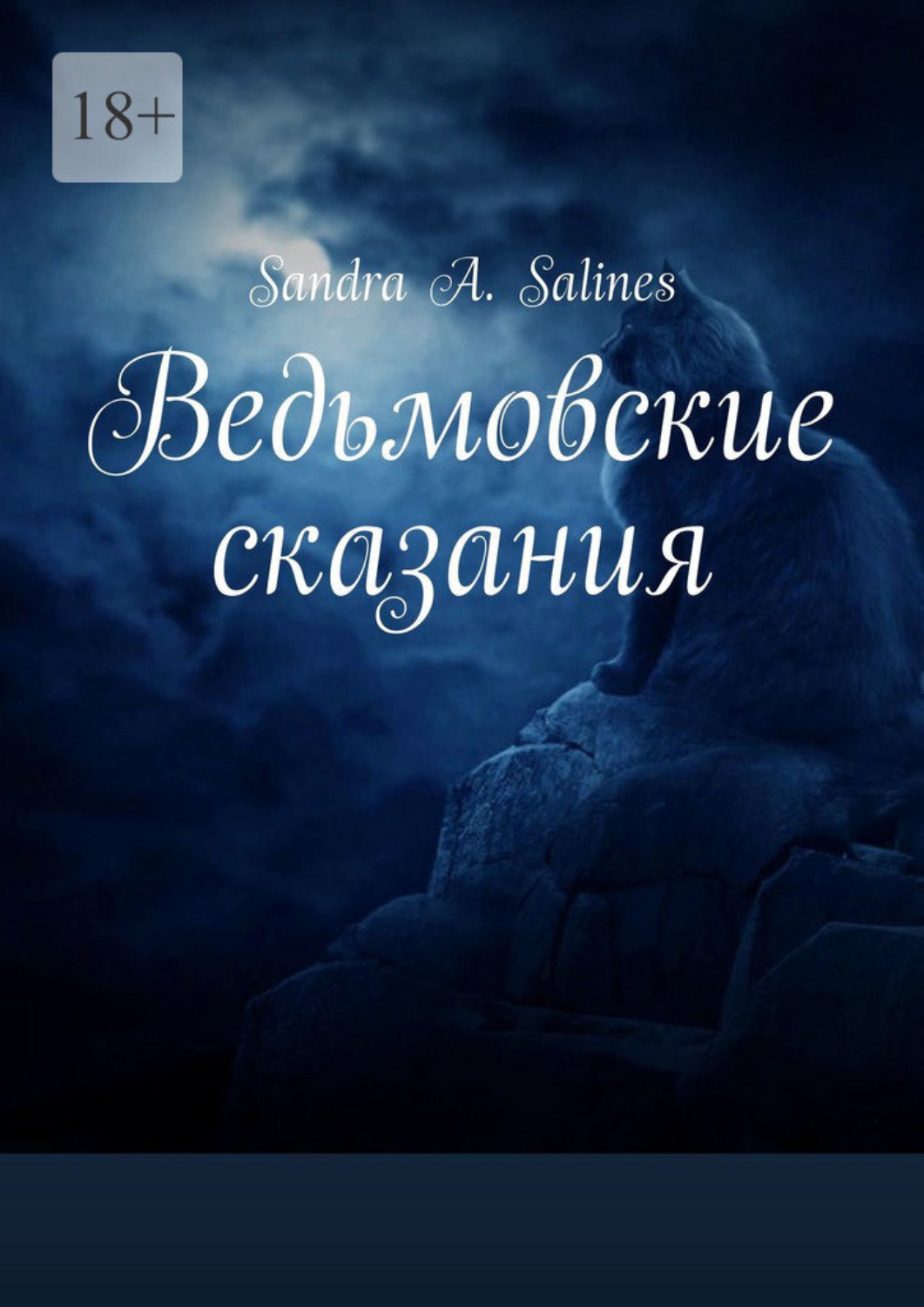Обложка книги «Ведьмовские сказания»