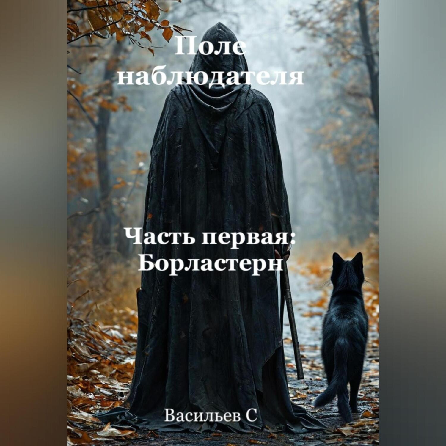 Обложка книги «Поле наблюдателя. Часть первая: Борластерн.»