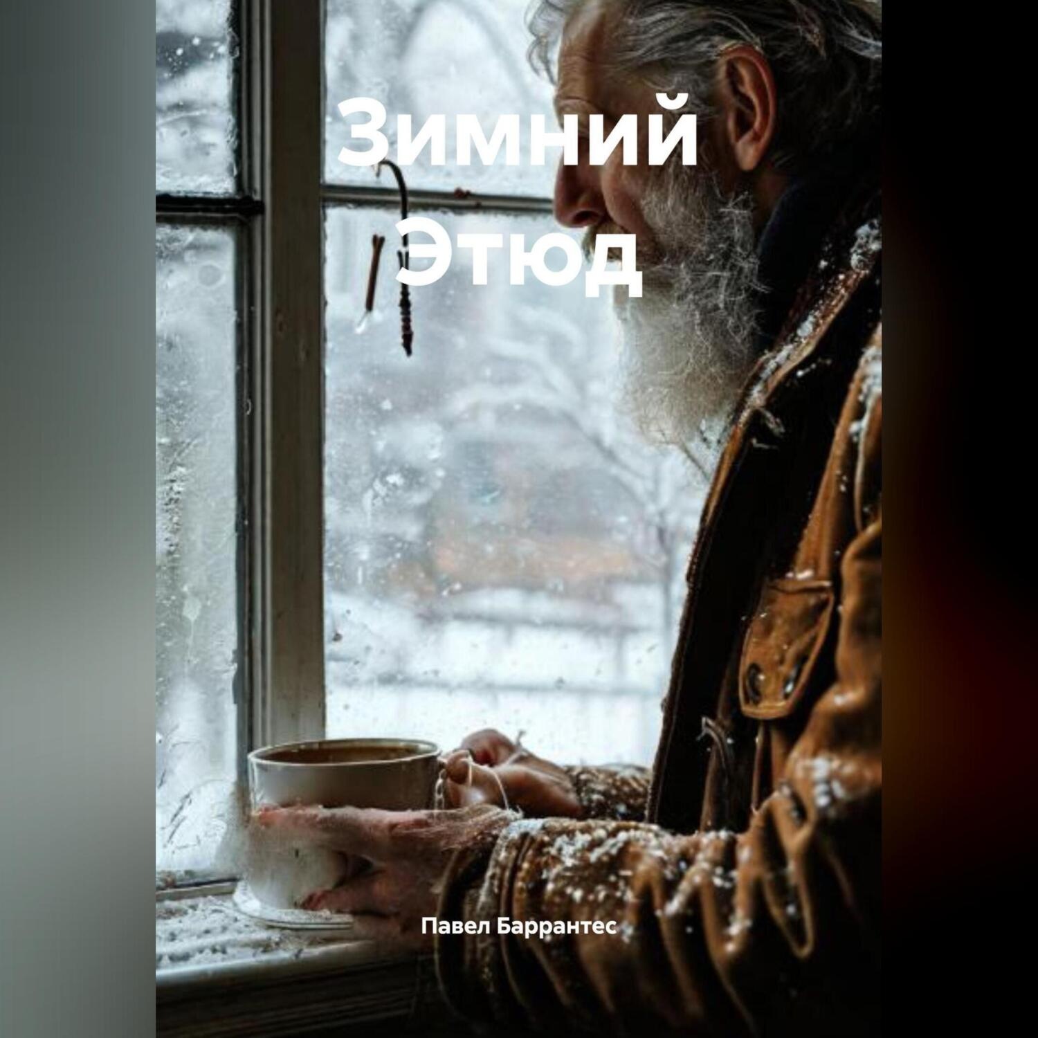 Обложка книги «Зимний Этюд»