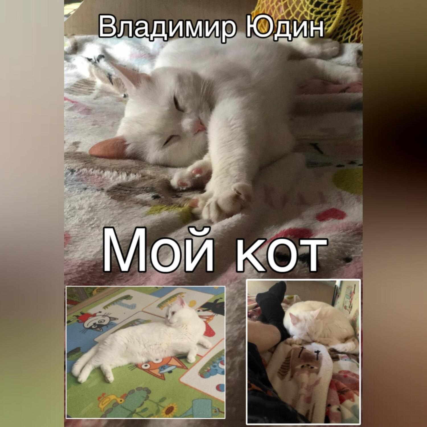 Обложка книги «Мой кот»