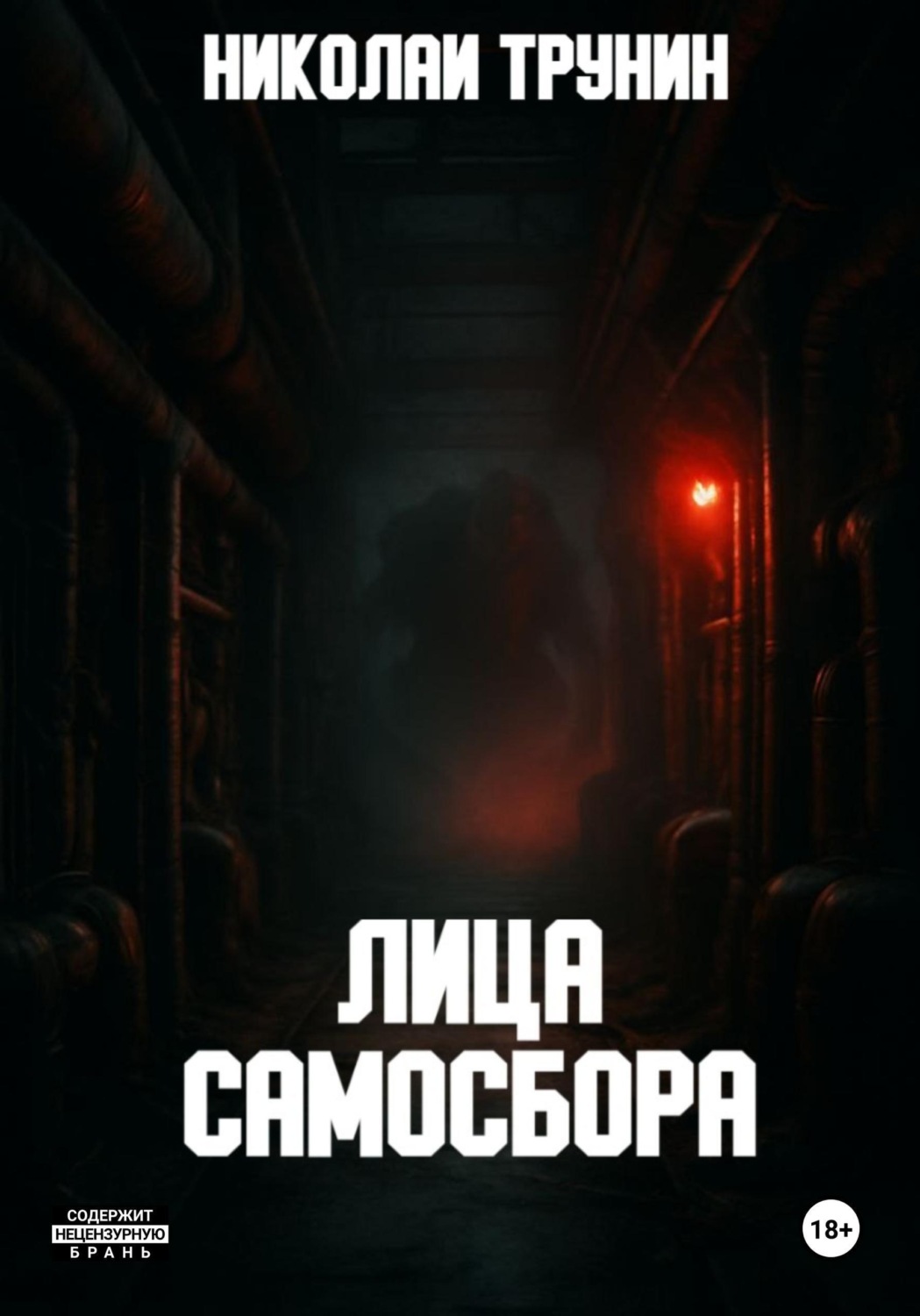 Обложка книги «Лица Самосбора»