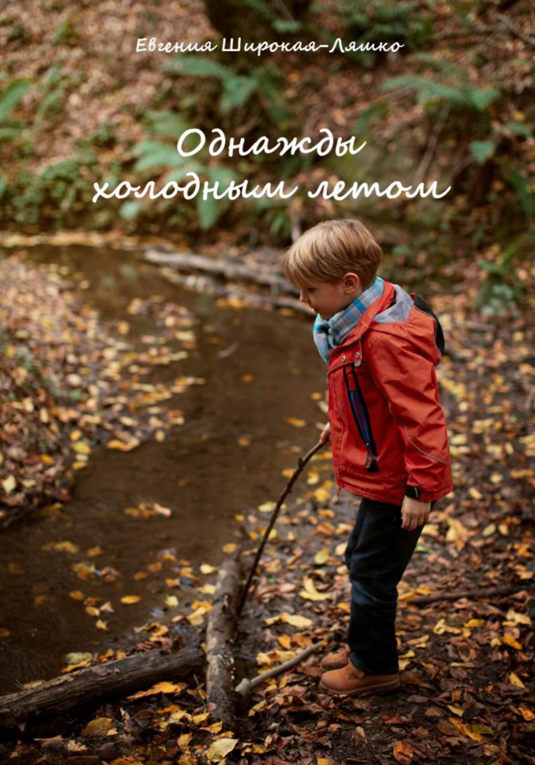 Обложка книги «Однажды холодным летом»