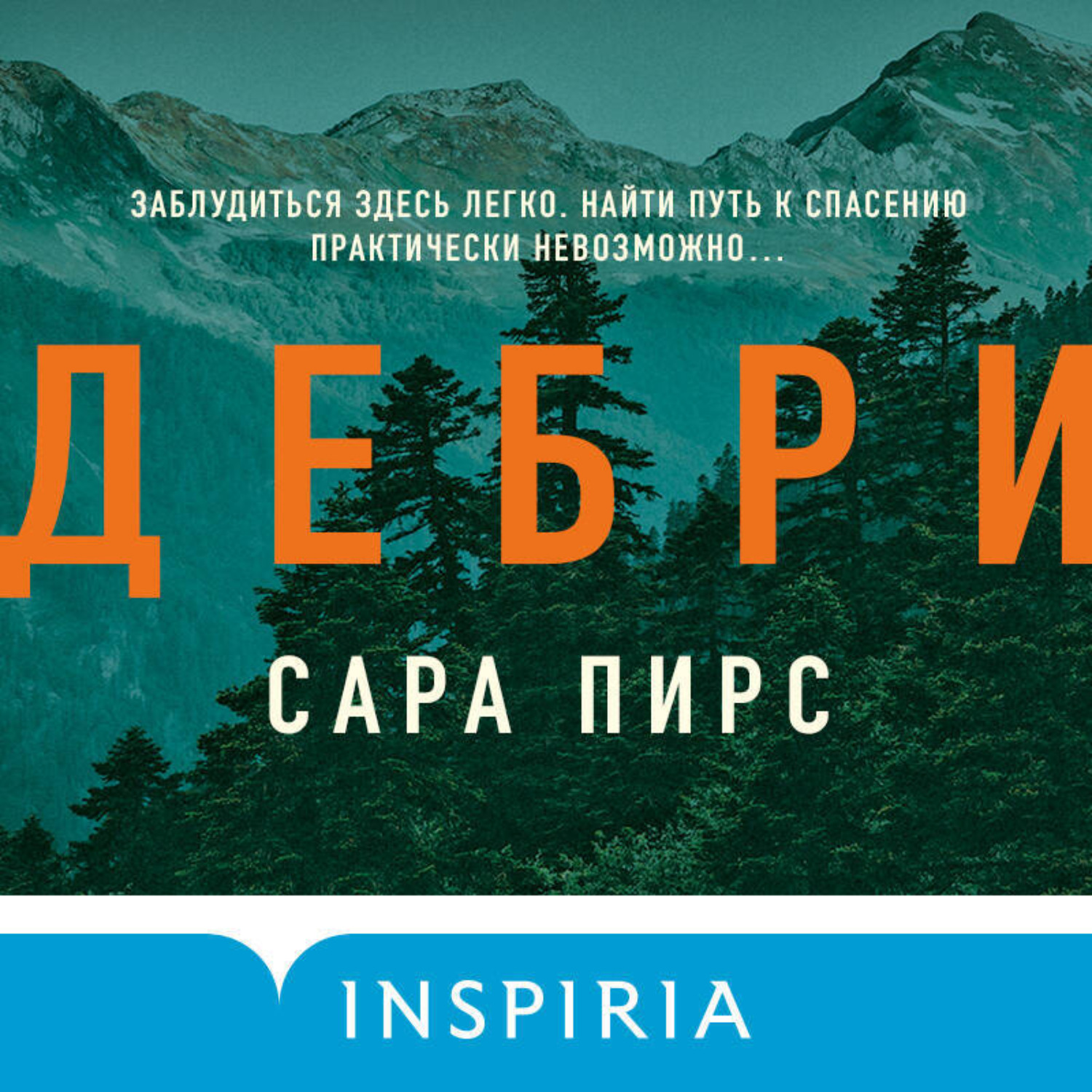 Обложка книги «Дебри»