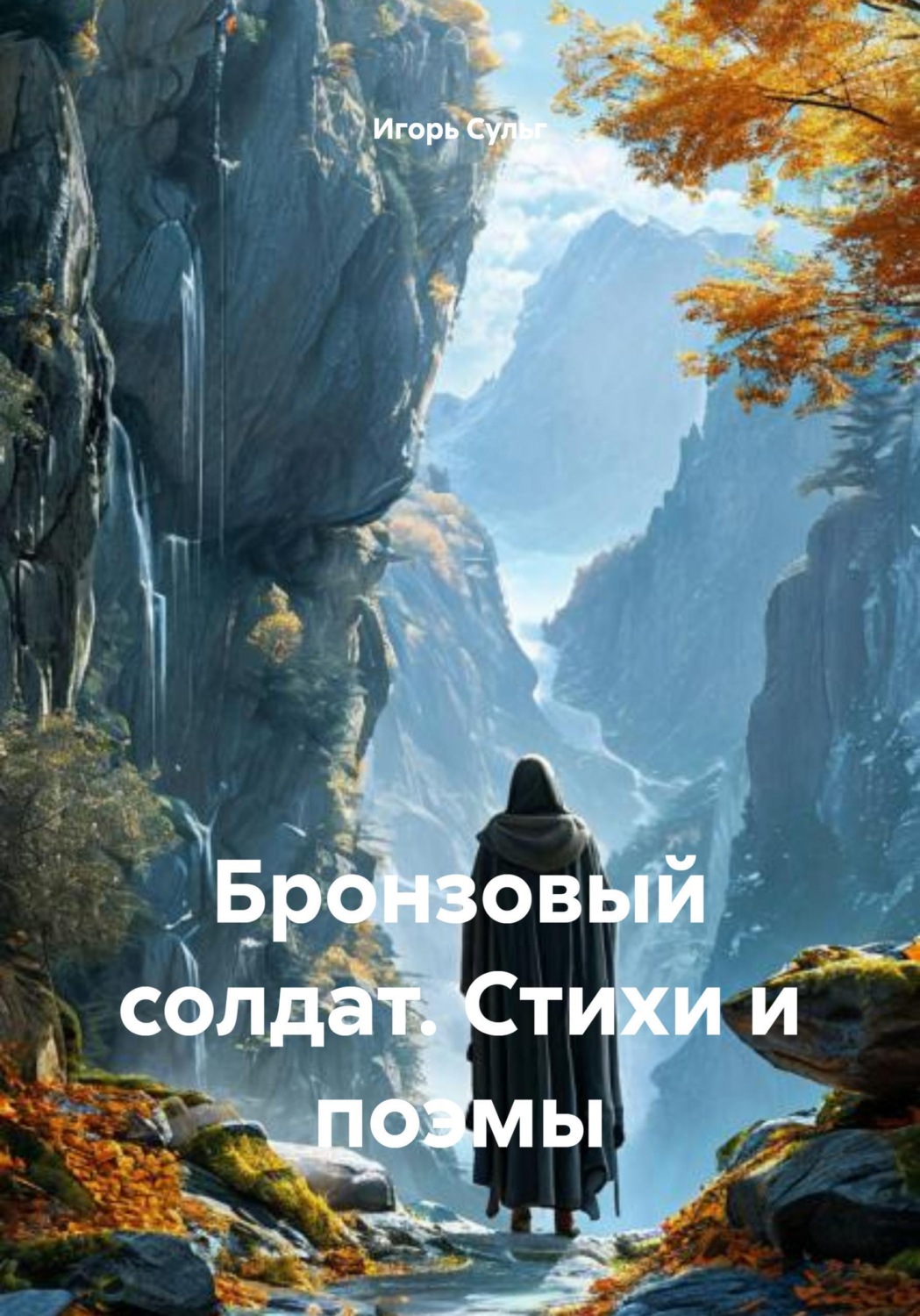 Обложка книги «Бронзовый солдат. Стихи и поэмы»