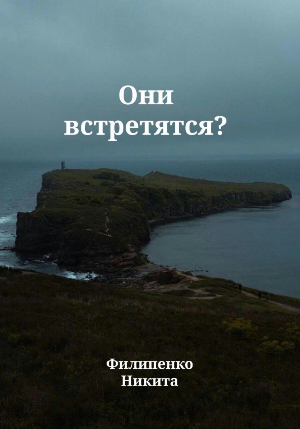 Обложка книги «Они встретятся?»