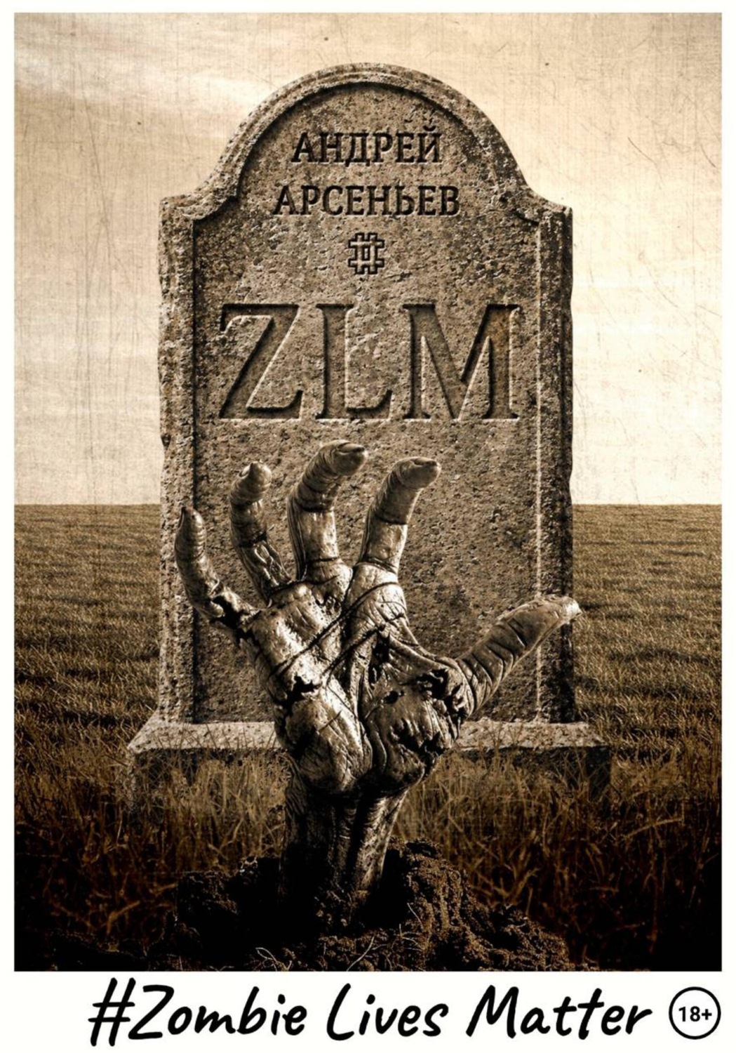 Обложка книги «ZLM»