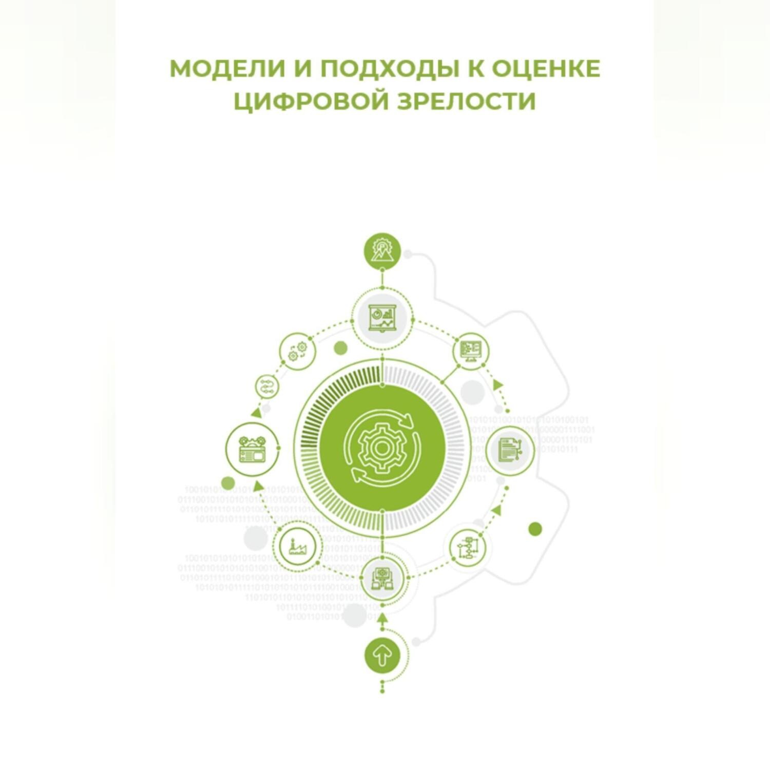 Обложка книги «Модели и подходы к оценке цифровой зрелости»