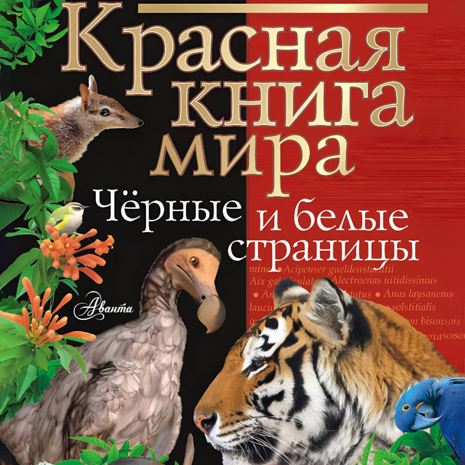 Обложка книги «Красная книга мира. Черные и белые страницы»