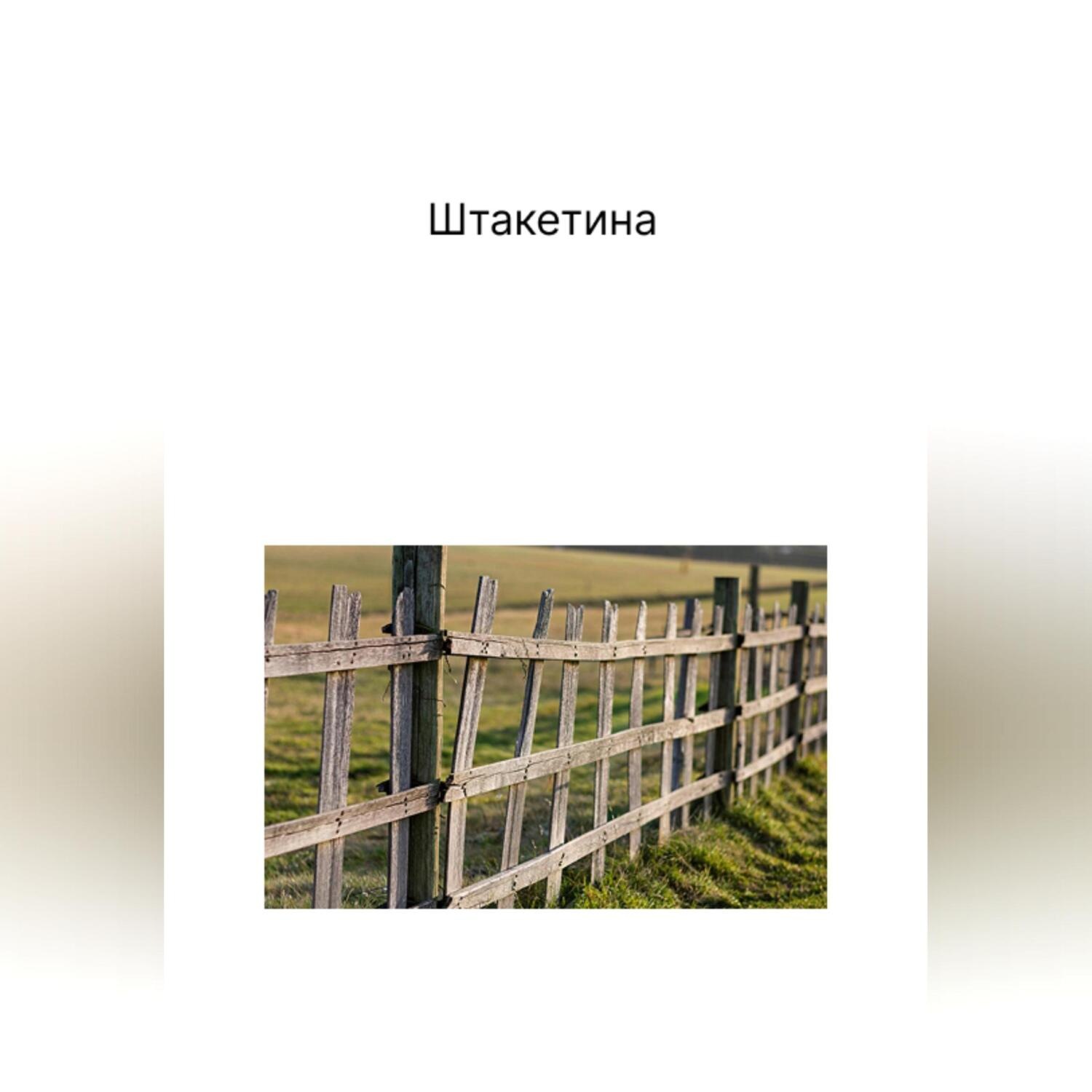 Обложка книги «Штакетина»