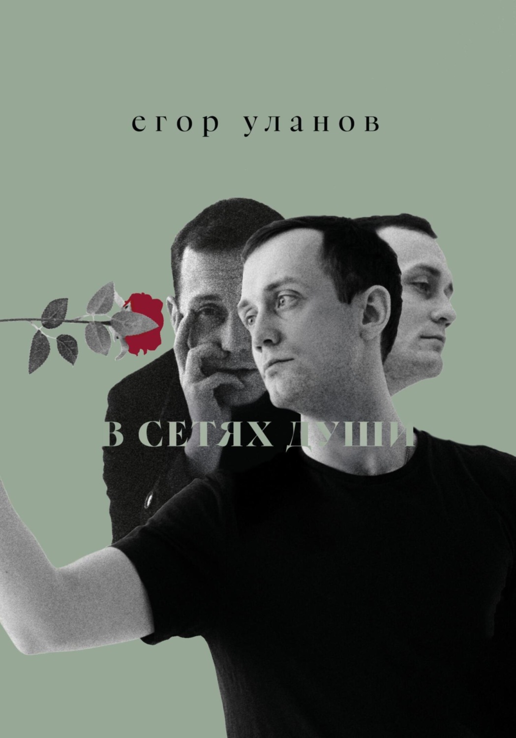 Обложка книги «В сетях души»