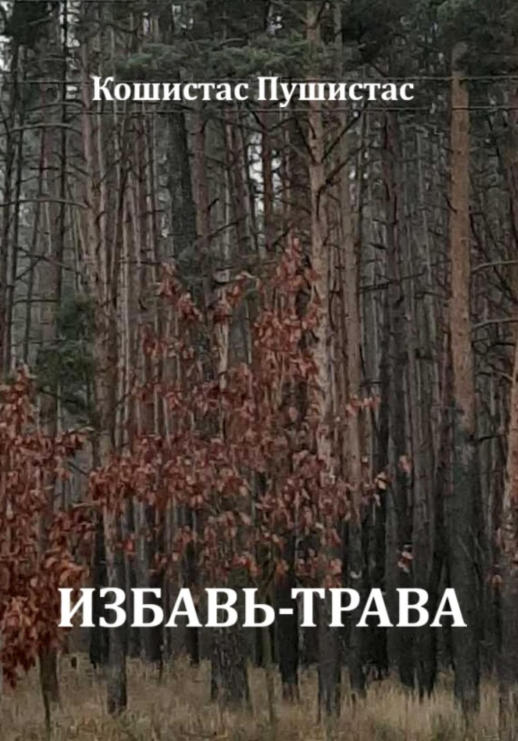 Обложка книги «Избавь-трава»