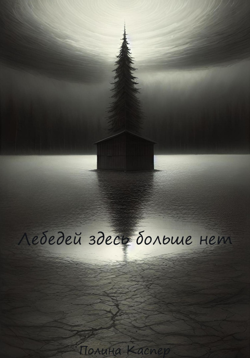 Обложка книги «Лебедей здесь больше нет»