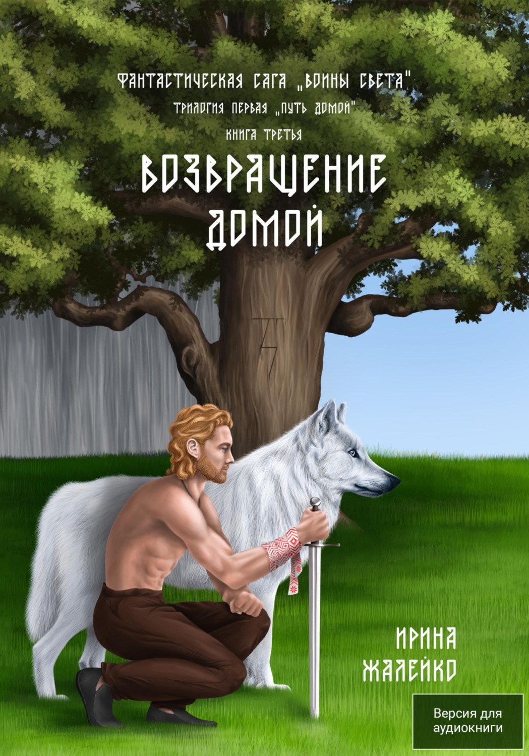 Обложка книги «Возвращение домой. Книга третья. Трилогия первая «Путь домой» Фантастическая сага «Воины света»»