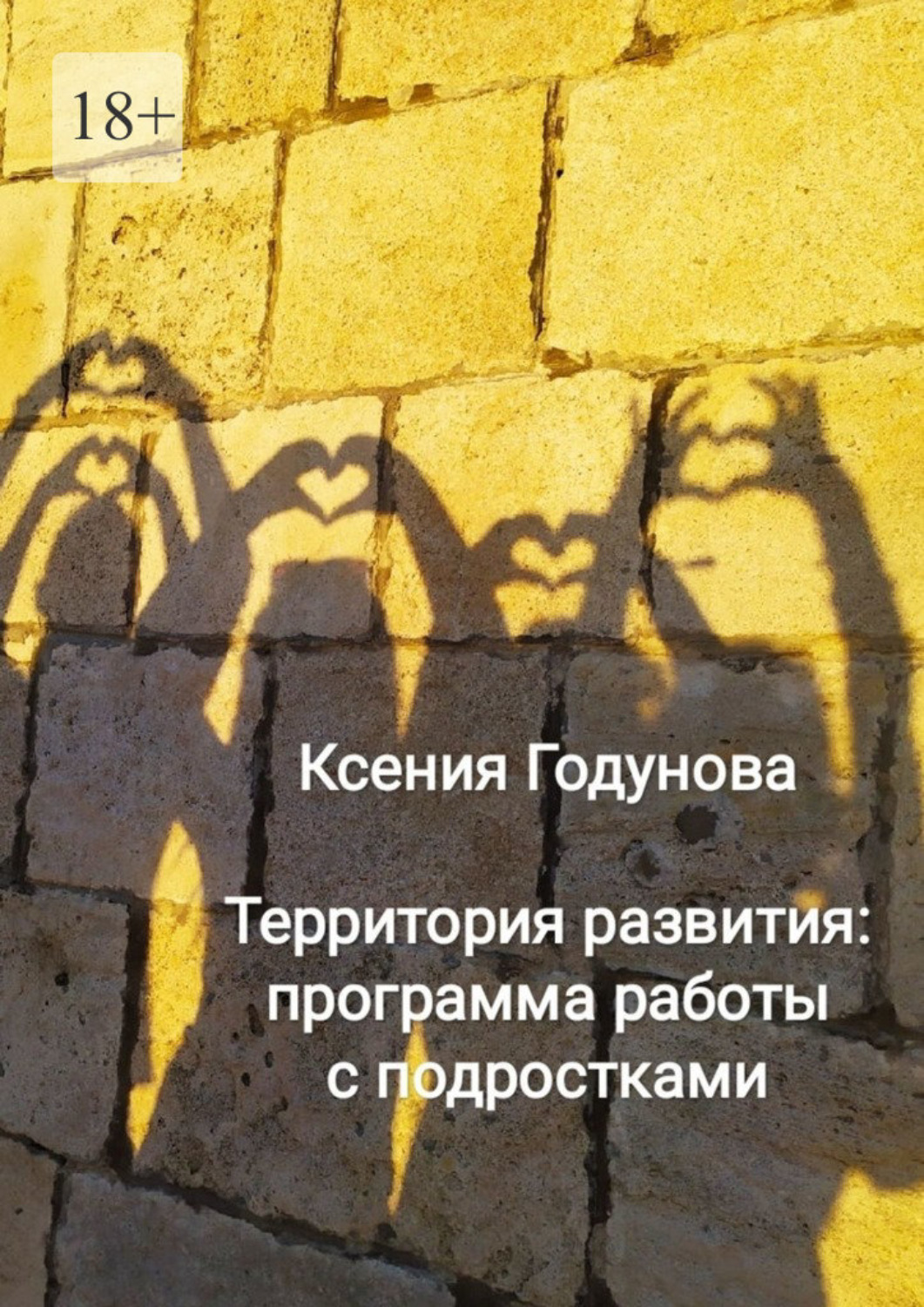 Обложка книги «Территория развития: программа работы с подростками»