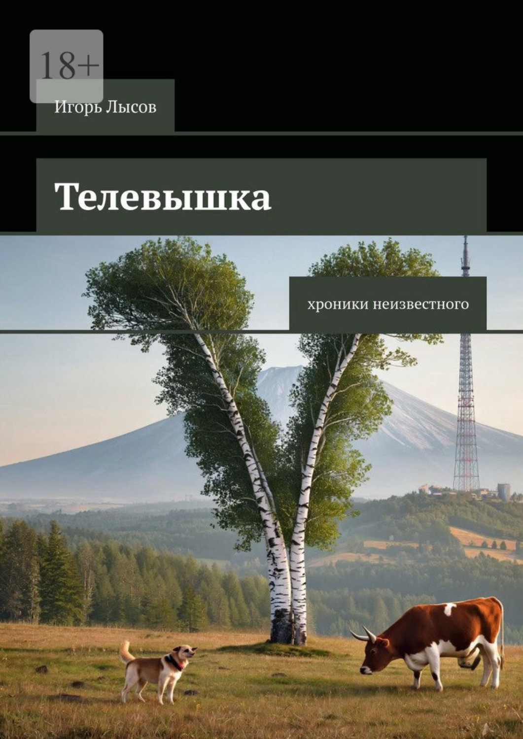 Обложка книги «Телевышка. Хроники неизвестного»