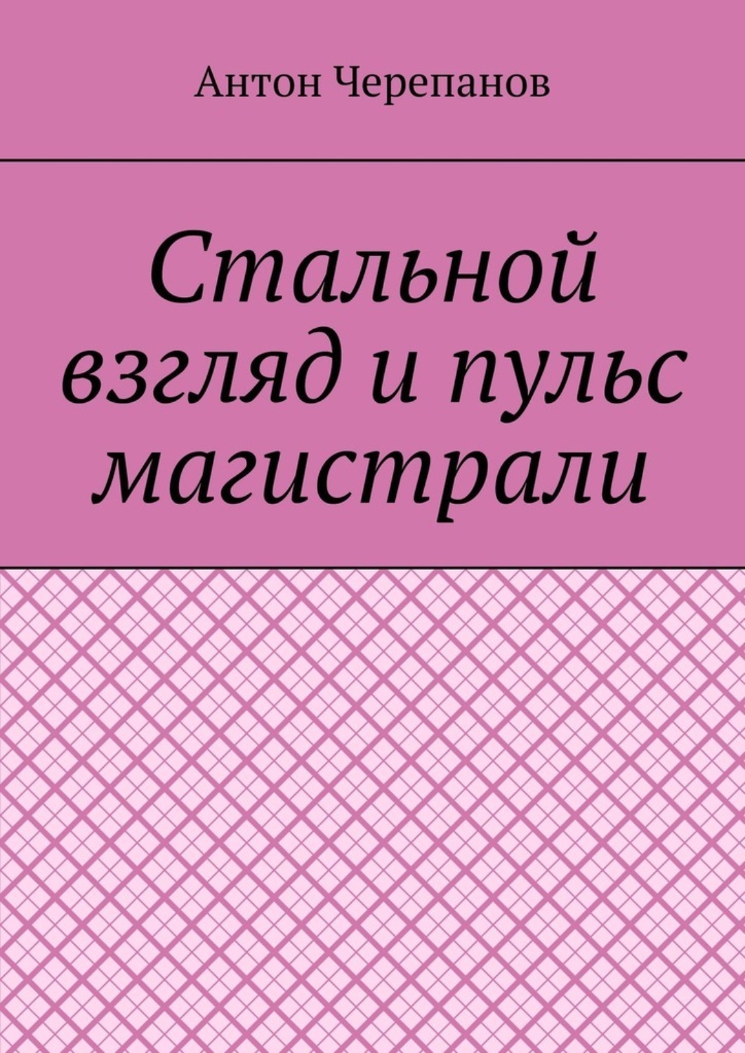 Обложка книги «Стальной взгляд и пульс магистрали»