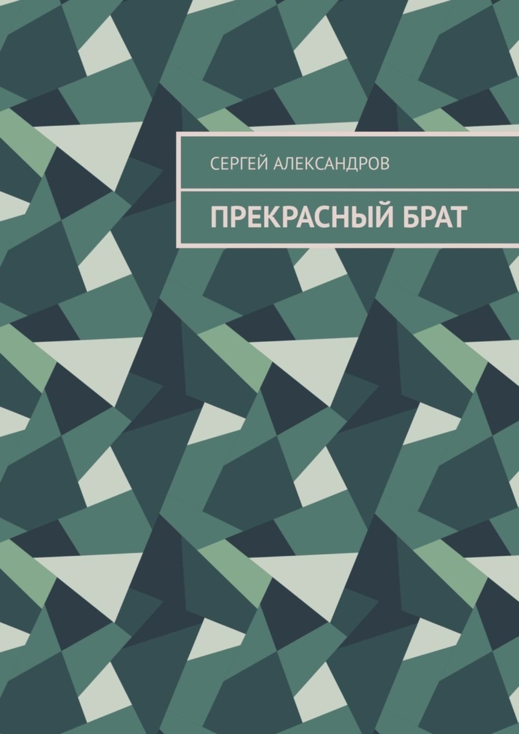 Обложка книги «Прекрасный брат»