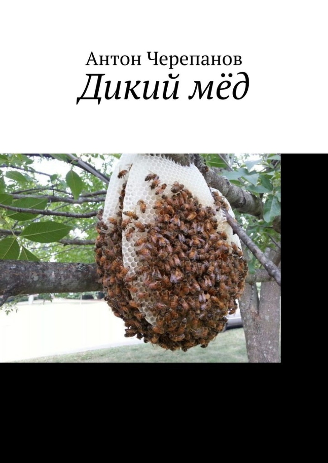 Обложка книги «Дикий мёд»