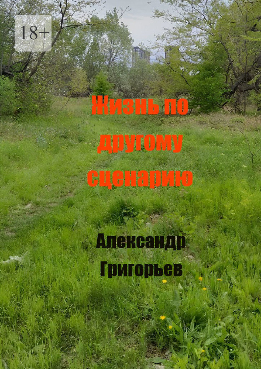 Обложка книги «Жизнь по другому сценарию»