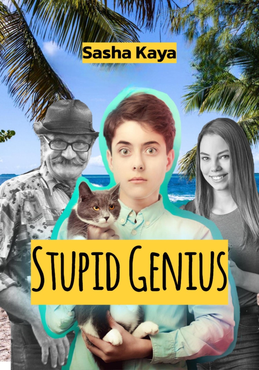 Обложка книги «Stupid genius»