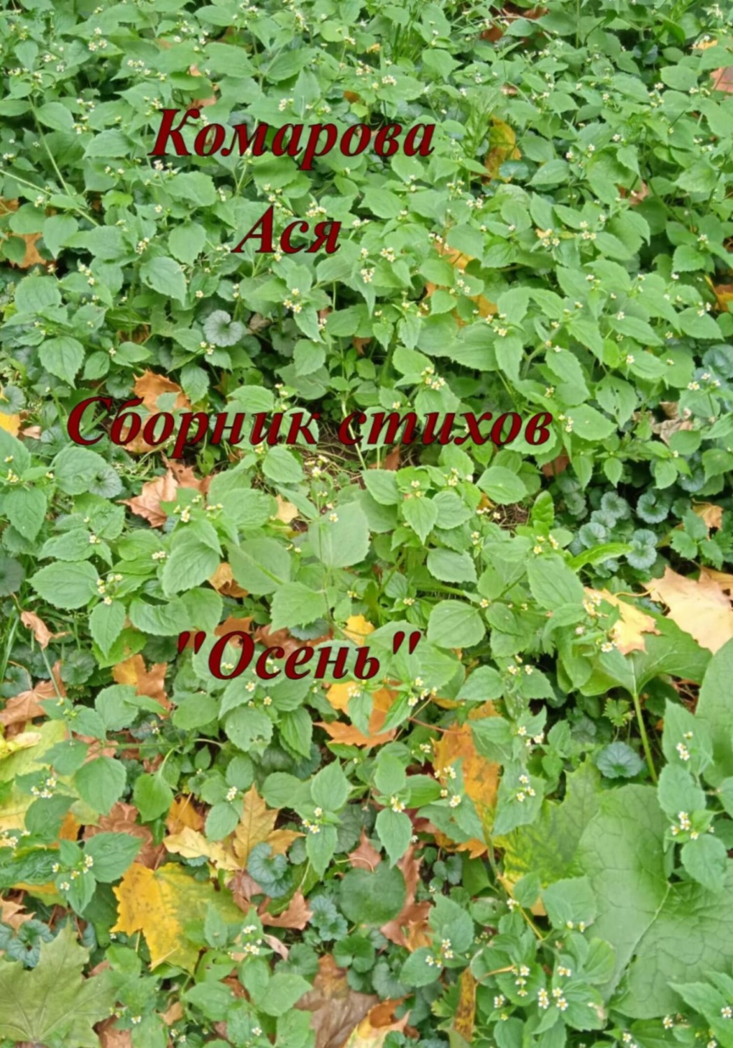 Обложка книги «Осень. Сборник стихов»