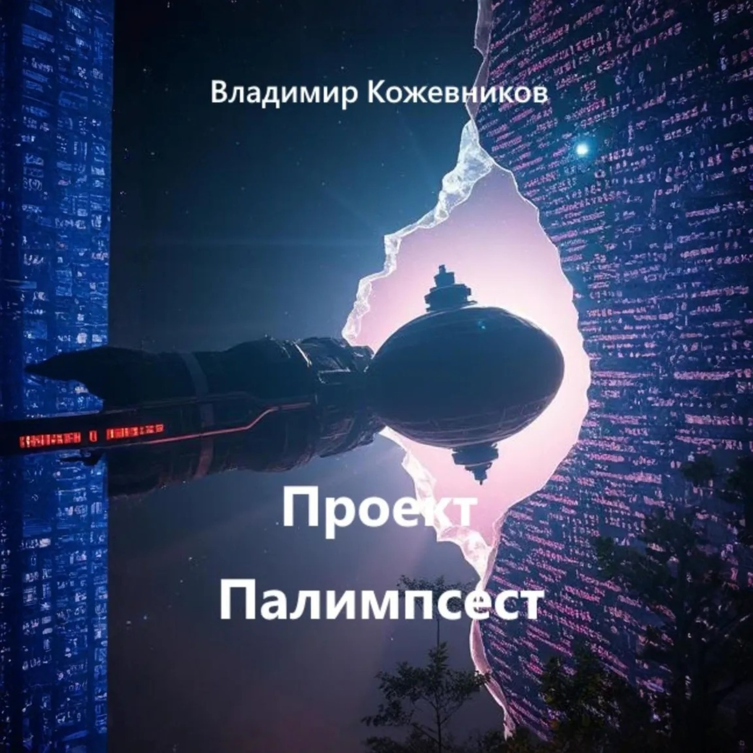 Обложка книги «Проект Палимпсест»
