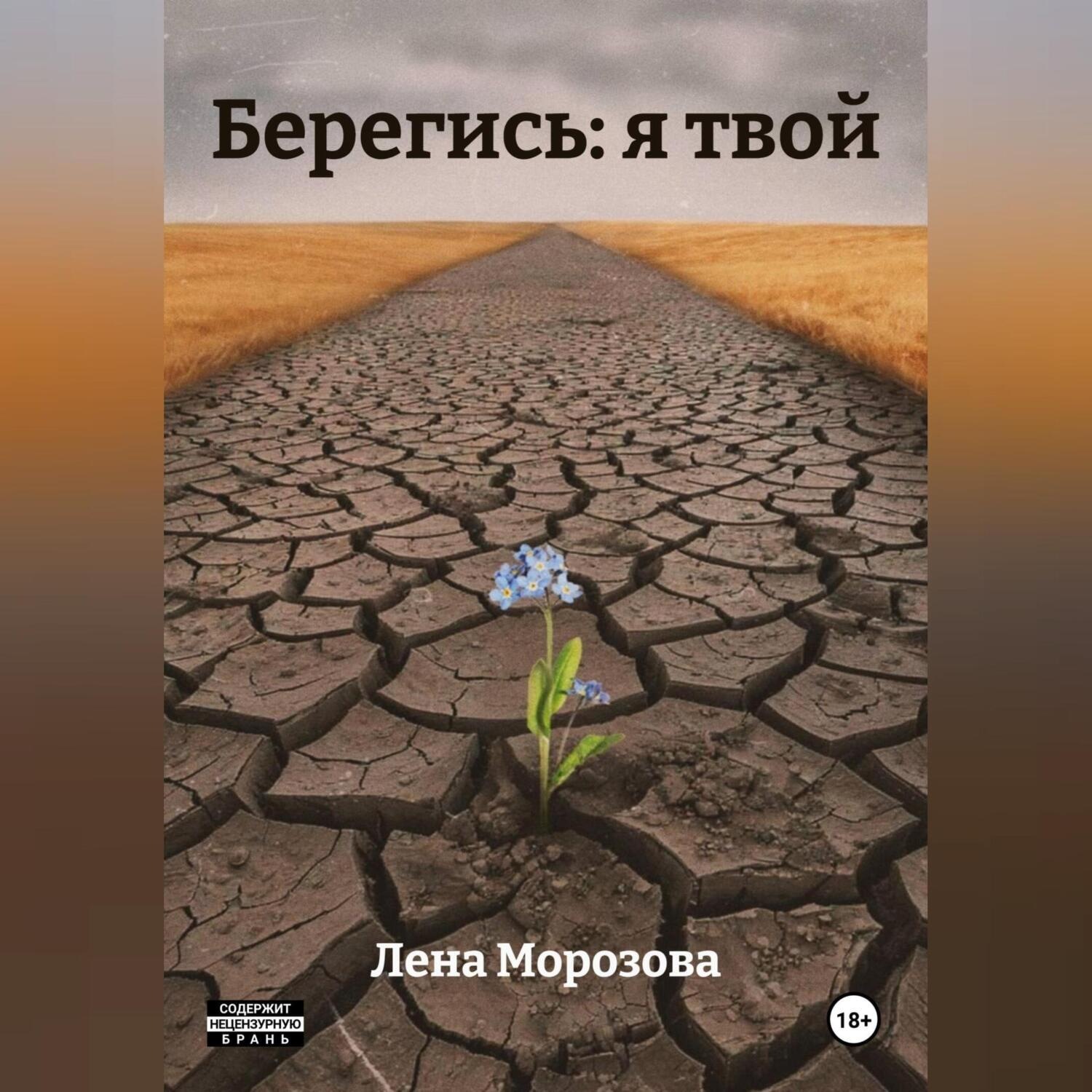 Обложка книги «Берегись: я твой»
