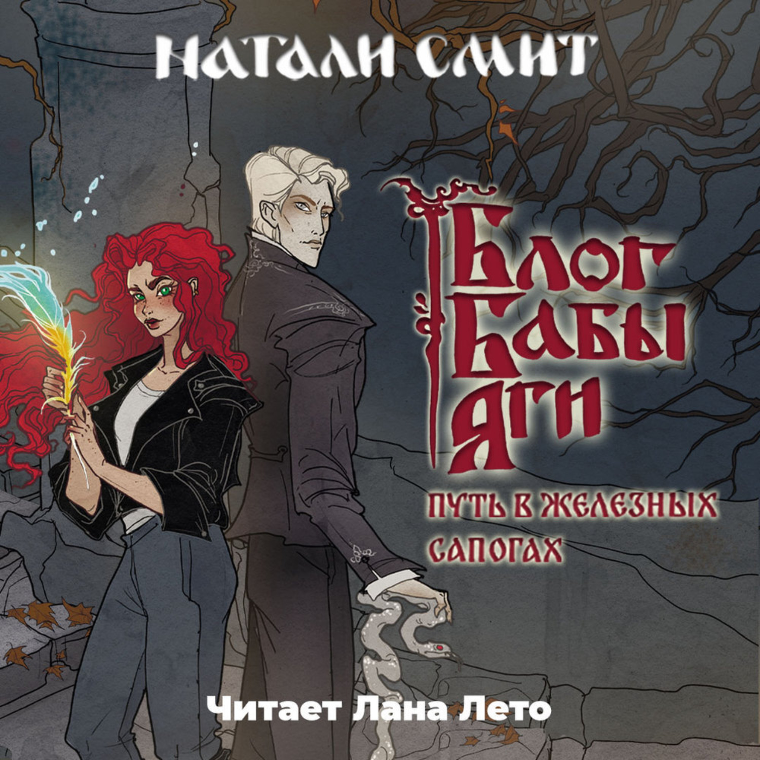Обложка книги «Блог Бабы Яги. Путь в железных сапогах»