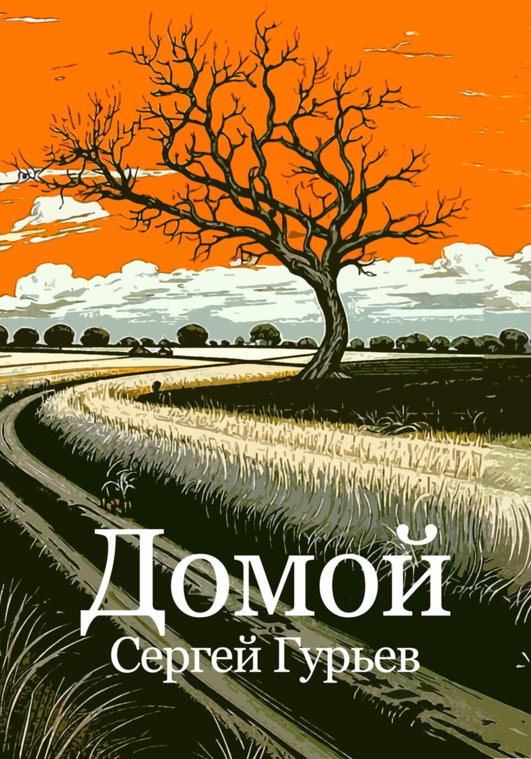 Обложка книги «Домой»