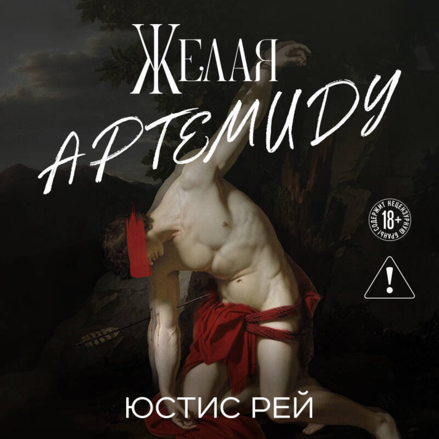 Обложка книги «Желая Артемиду»