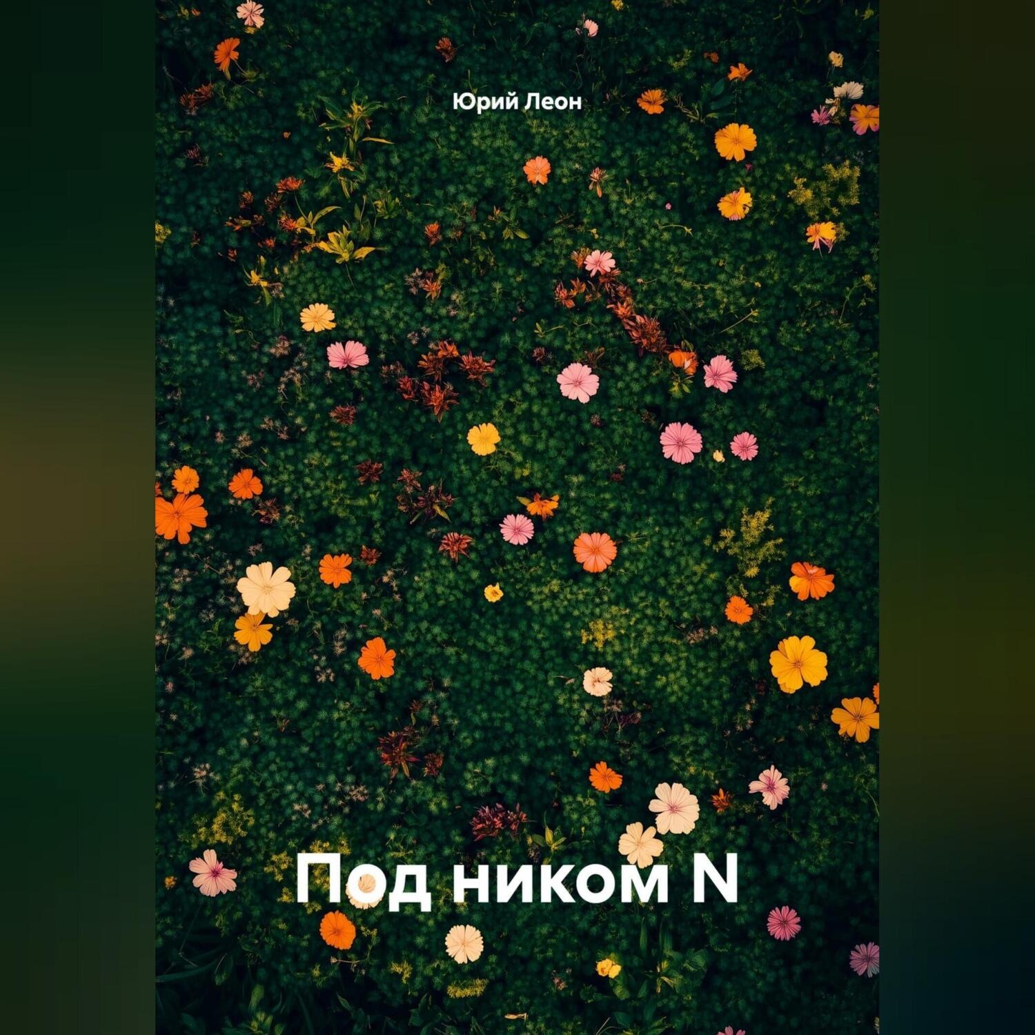 Обложка книги «Под ником N»