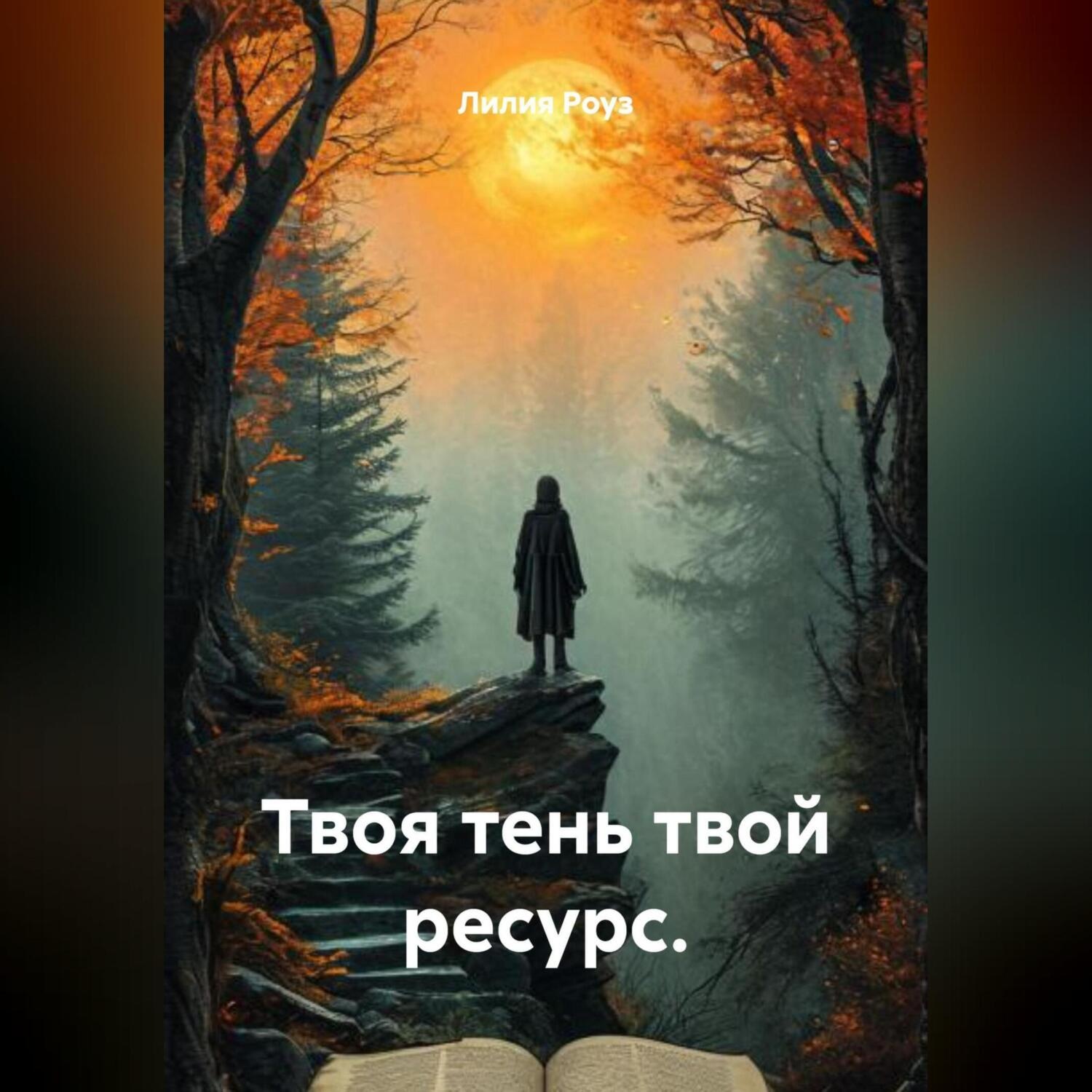 Обложка книги «Твоя тень твой ресурс.»