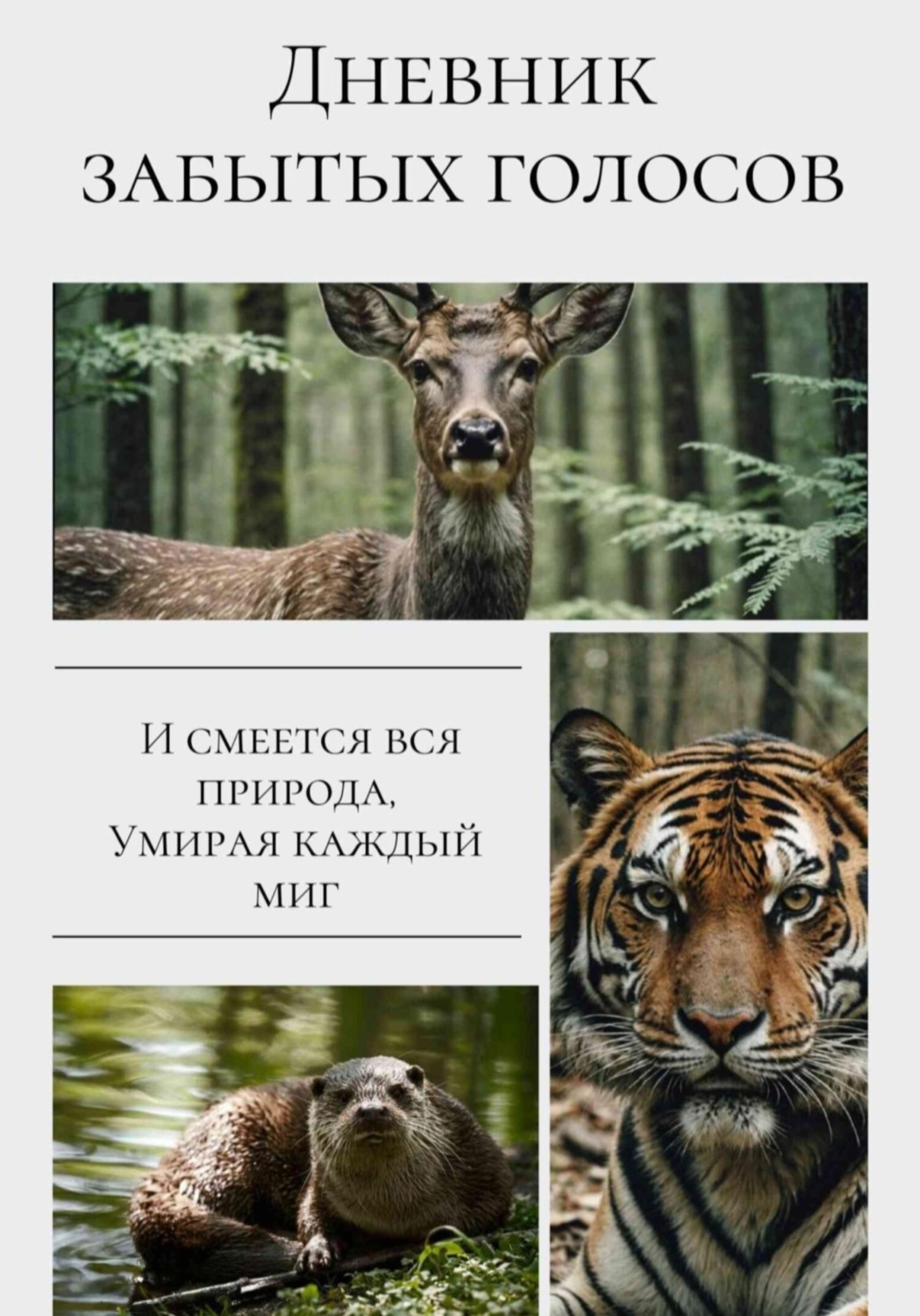 Обложка книги «Дневник забытых голосов»